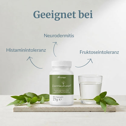 Darmkulturen+