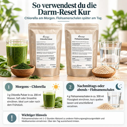 Darm-Reset mit Chlorella Pulver und Flohsamenschalen